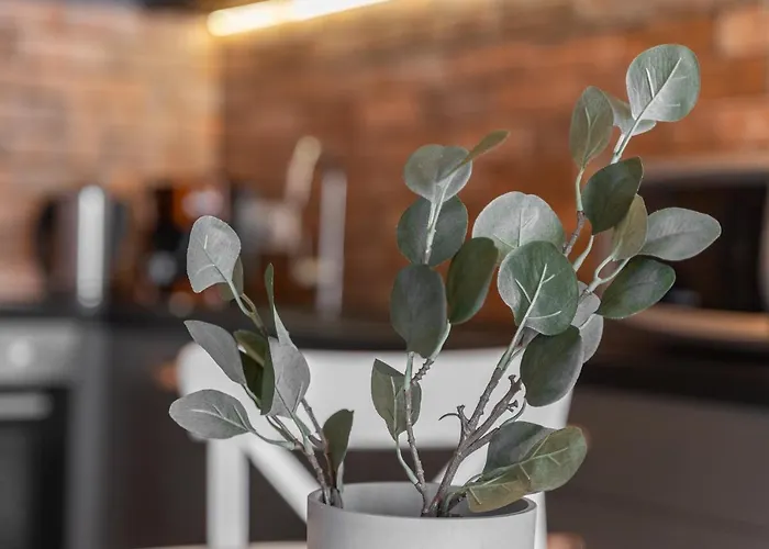 4000 Stare Bulwary No 1 Szczecin